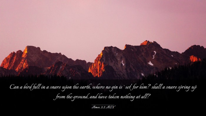 Picture 03 - Amos 3:5 ASV Desktop Wallpaper - Can a bird fall in a snare upon the earth, where - Desktop Bible Verse Wallpaper