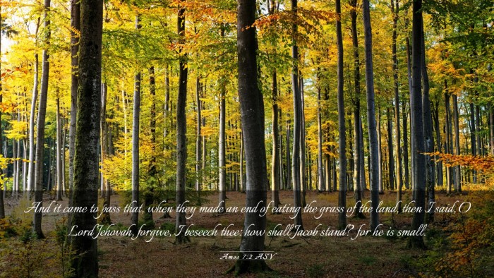 Picture 03 - Amos 7:2 ASV Desktop Wallpaper - And it came to pass that, when they made an end - Desktop Bible Verse Wallpaper