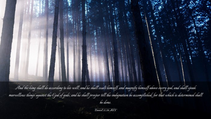 Picture 03 - Daniel 11:36 ASV Desktop Wallpaper - And the king shall do according to his will; and - Desktop Bible Verse Wallpaper