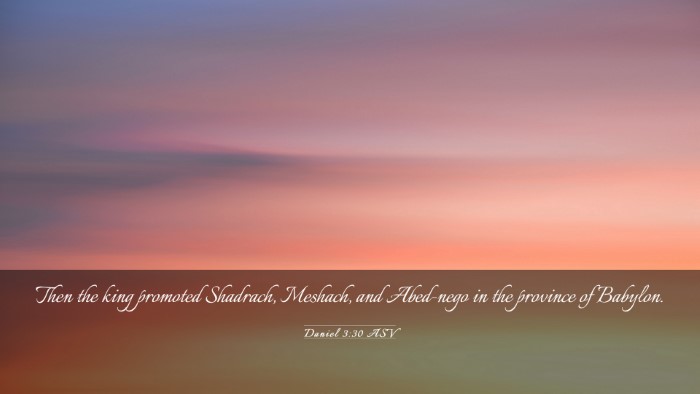 Picture 03 - Daniel 3:30 ASV Desktop Wallpaper - Then the king promoted Shadrach, Meshach, and - Desktop Bible Verse Wallpaper