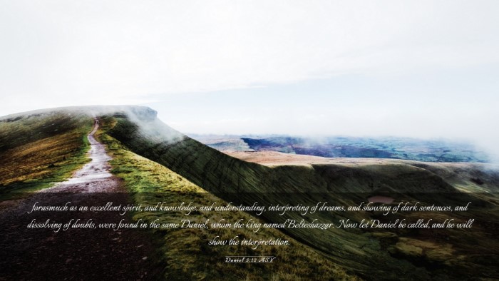 Picture 03 - Daniel 5:12 ASV Desktop Wallpaper - forasmuch as an excellent spirit, and knowledge, - Desktop Bible Verse Wallpaper