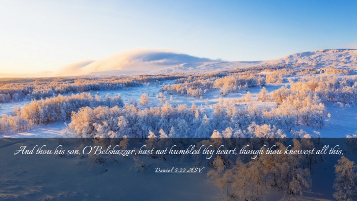 Picture 03 - Daniel 5:22 ASV Desktop Wallpaper - And thou his son, O Belshazzar, hast not humbled - Desktop Bible Verse Wallpaper