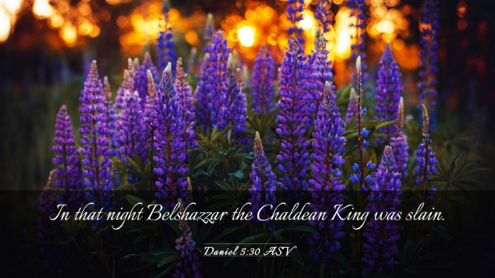 Picture 03 - Daniel 5:30 ASV Desktop Wallpaper - In that night Belshazzar the Chaldean King was - Desktop Bible Verse Wallpaper