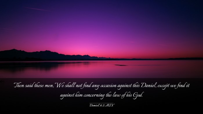 Picture 03 - Daniel 6:5 ASV Desktop Wallpaper - Then said these men, We shall not find any - Desktop Bible Verse Wallpaper