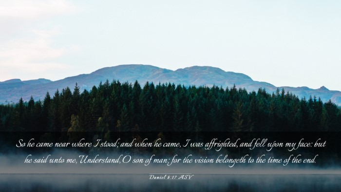 Picture 03 - Daniel 8:17 ASV Desktop Wallpaper - So he came near where I stood; and when he came, - Desktop Bible Verse Wallpaper