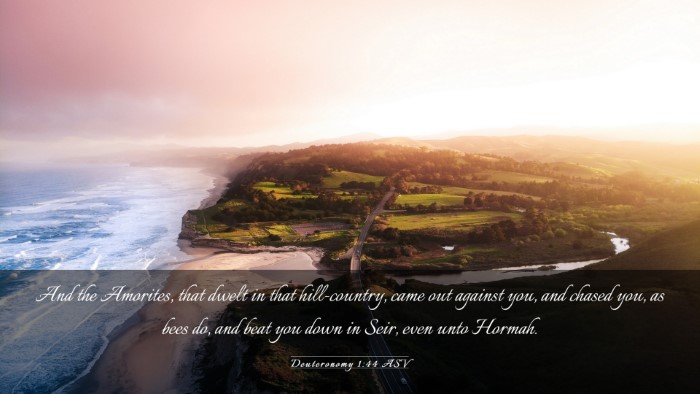 Picture 03 - Deuteronomy 1:44 ASV Desktop Wallpaper - And the Amorites, that dwelt in that - Desktop Bible Verse Wallpaper