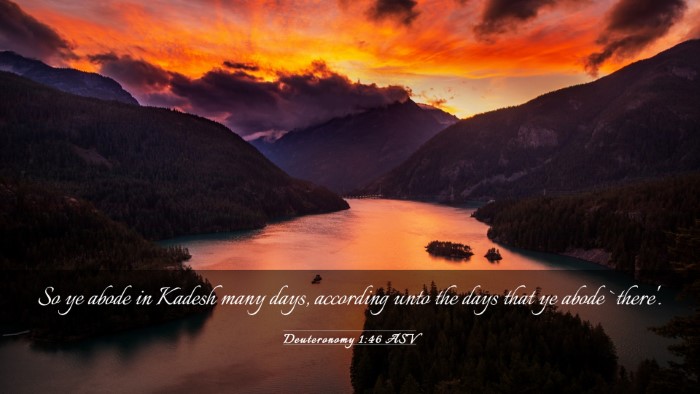 Picture 03 - Deuteronomy 1:46 ASV Desktop Wallpaper - So ye abode in Kadesh many days, according unto - Desktop Bible Verse Wallpaper