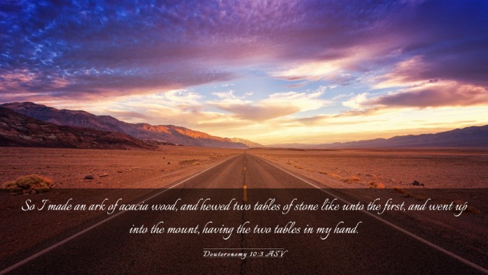 Picture 03 - Deuteronomy 10:3 ASV Desktop Wallpaper - So I made an ark of acacia wood, and hewed two - Desktop Bible Verse Wallpaper