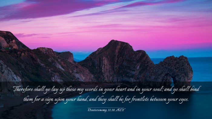 Picture 03 - Deuteronomy 11:18 ASV Desktop Wallpaper - Therefore shall ye lay up these my words in your - Desktop Bible Verse Wallpaper