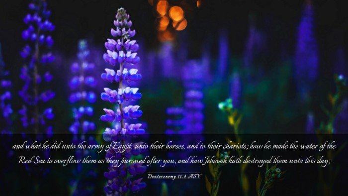 Picture 03 - Deuteronomy 11:4 ASV Desktop Wallpaper - and what he did unto the army of Egypt, unto - Desktop Bible Verse Wallpaper