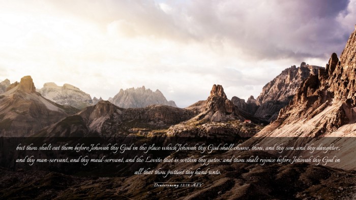 Picture 03 - Deuteronomy 12:18 ASV Desktop Wallpaper - but thou shalt eat them before Jehovah thy God in - Desktop Bible Verse Wallpaper