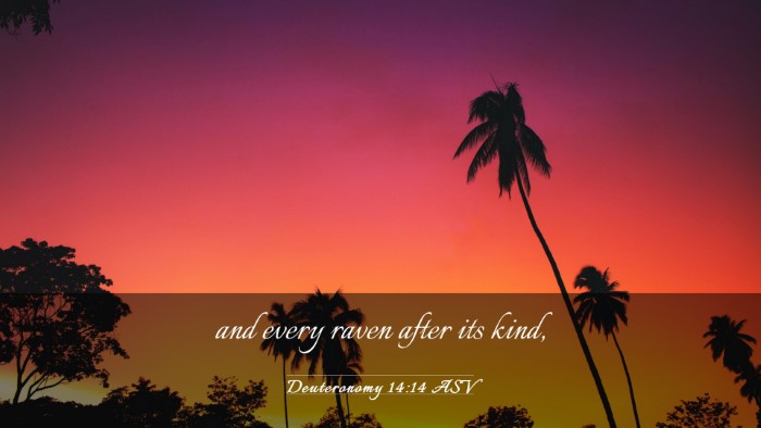 Picture 03 - Deuteronomy 14:14 ASV Desktop Wallpaper - and every raven after its - Desktop Bible Verse Wallpaper