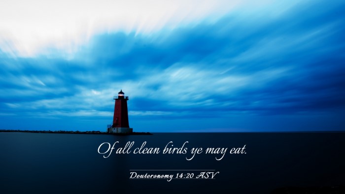 Picture 03 - Deuteronomy 14:20 ASV Desktop Wallpaper - Of all clean birds ye may - Desktop Bible Verse Wallpaper