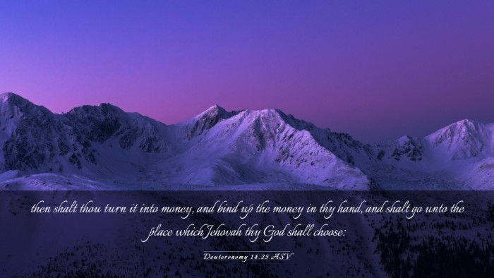 Picture 03 - Deuteronomy 14:25 ASV Desktop Wallpaper - then shalt thou turn it into money, and bind up - Desktop Bible Verse Wallpaper