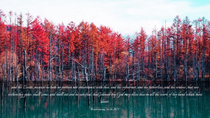 Picture 03 - Deuteronomy 14:29 ASV Desktop Wallpaper - and the Levite, because he hath no portion nor - Desktop Bible Verse Wallpaper