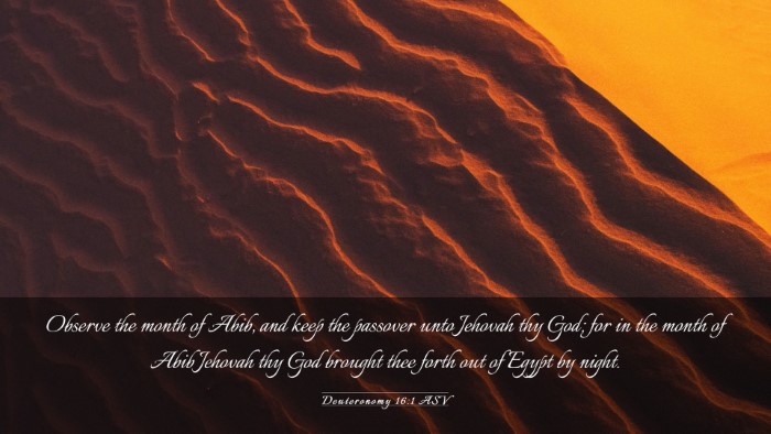 Picture 03 - Deuteronomy 16:1 ASV Desktop Wallpaper - Observe the month of Abib, and keep the passover - Desktop Bible Verse Wallpaper