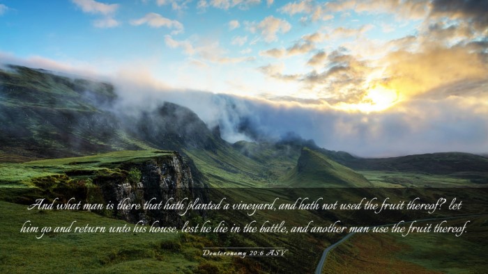 Picture 03 - Deuteronomy 20:6 ASV Desktop Wallpaper - And what man is there that hath planted a - Desktop Bible Verse Wallpaper