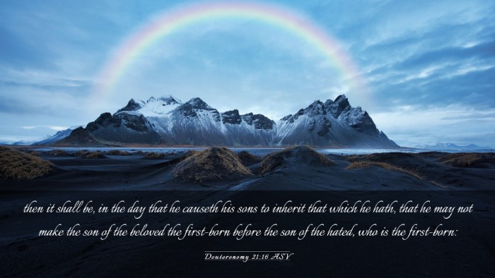 Picture 03 - Deuteronomy 21:16 ASV Desktop Wallpaper - then it shall be, in the day that he causeth his - Desktop Bible Verse Wallpaper