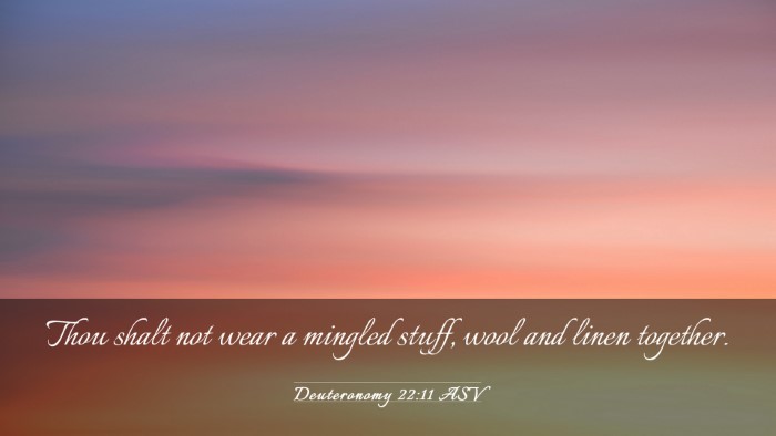 Picture 03 - Deuteronomy 22:11 ASV Desktop Wallpaper - Thou shalt not wear a mingled stuff, wool and - Desktop Bible Verse Wallpaper