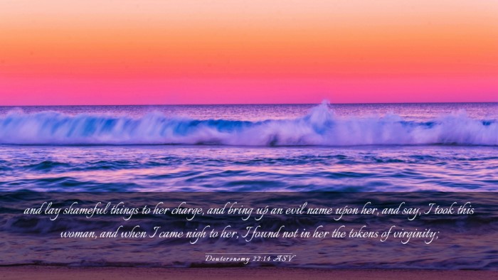 Picture 03 - Deuteronomy 22:14 ASV Desktop Wallpaper - and lay shameful things to her charge, and bring - Desktop Bible Verse Wallpaper