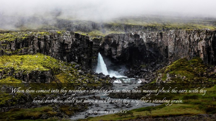 Picture 03 - Deuteronomy 23:25 ASV Desktop Wallpaper - When thou comest into thy neighbor's standing - Desktop Bible Verse Wallpaper