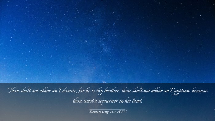 Picture 03 - Deuteronomy 23:7 ASV Desktop Wallpaper - Thou shalt not abhor an Edomite; for he is thy - Desktop Bible Verse Wallpaper