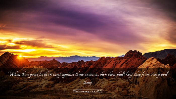 Picture 03 - Deuteronomy 23:9 ASV Desktop Wallpaper - When thou goest forth in camp against thine - Desktop Bible Verse Wallpaper