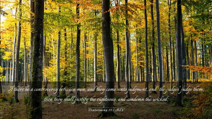 Picture 03 - Deuteronomy 25:1 ASV Desktop Wallpaper - If there be a controversy between men, and they - Desktop Bible Verse Wallpaper