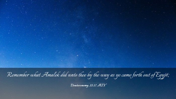 Picture 03 - Deuteronomy 25:17 ASV Desktop Wallpaper - Remember what Amalek did unto thee by the way as - Desktop Bible Verse Wallpaper