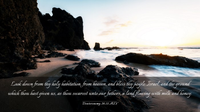 Picture 03 - Deuteronomy 26:15 ASV Desktop Wallpaper - Look down from thy holy habitation, from heaven, - Desktop Bible Verse Wallpaper