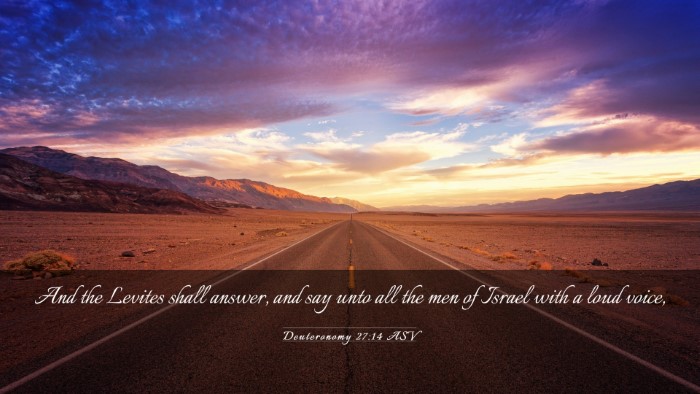 Picture 03 - Deuteronomy 27:14 ASV Desktop Wallpaper - And the Levites shall answer, and say unto all - Desktop Bible Verse Wallpaper