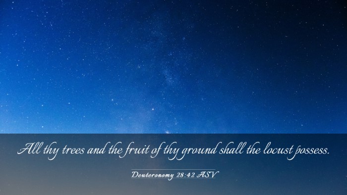 Picture 03 - Deuteronomy 28:42 ASV Desktop Wallpaper - All thy trees and the fruit of thy ground shall - Desktop Bible Verse Wallpaper