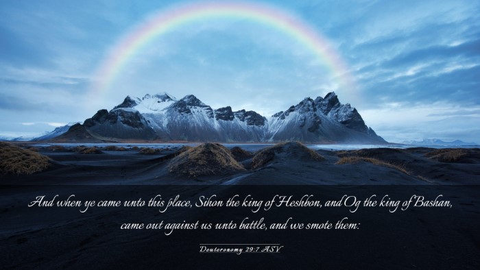 Picture 03 - Deuteronomy 29:7 ASV Desktop Wallpaper - And when ye came unto this place, Sihon the king - Desktop Bible Verse Wallpaper