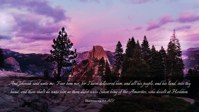 Picture 03 - Deuteronomy 3:2 ASV Desktop Wallpaper - And Jehovah said unto me, Fear him not; for I - Desktop Bible Verse Wallpaper