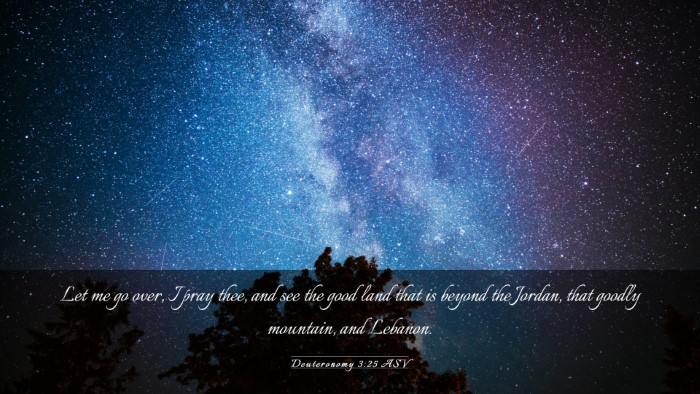 Picture 03 - Deuteronomy 3:25 ASV Desktop Wallpaper - Let me go over, I pray thee, and see the good - Desktop Bible Verse Wallpaper