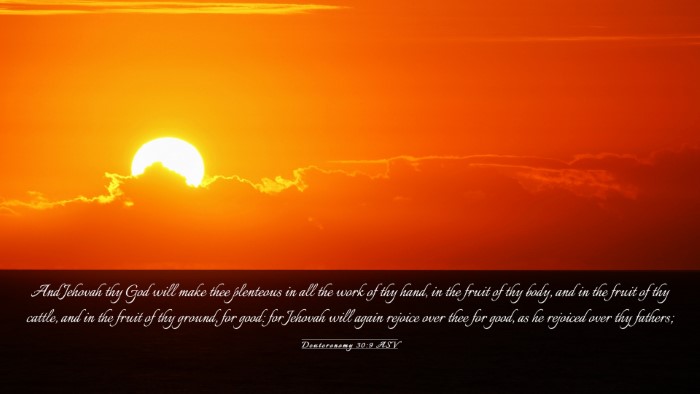 Picture 03 - Deuteronomy 30:9 ASV Desktop Wallpaper - And Jehovah thy God will make thee plenteous in - Desktop Bible Verse Wallpaper