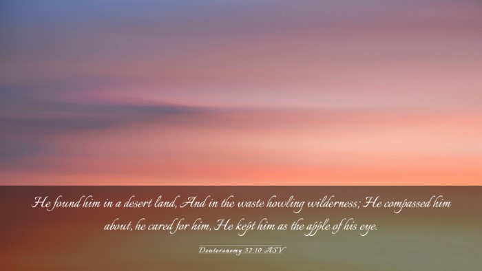 Picture 03 - Deuteronomy 32:10 ASV Desktop Wallpaper - He found him in a desert land, And in the waste - Desktop Bible Verse Wallpaper