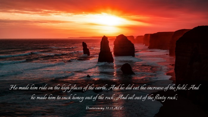 Picture 03 - Deuteronomy 32:13 ASV Desktop Wallpaper - He made him ride on the high places of the earth, - Desktop Bible Verse Wallpaper