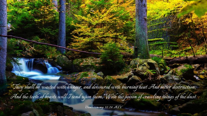 Picture 03 - Deuteronomy 32:24 ASV Desktop Wallpaper - `They shall be' wasted with hunger, and devoured - Desktop Bible Verse Wallpaper