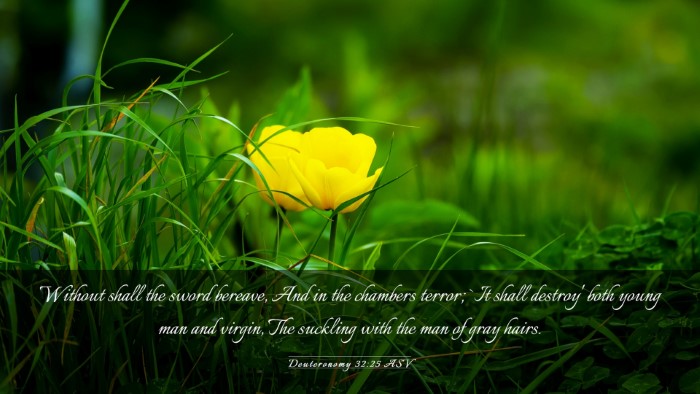 Picture 03 - Deuteronomy 32:25 ASV Desktop Wallpaper - Without shall the sword bereave, And in the - Desktop Bible Verse Wallpaper