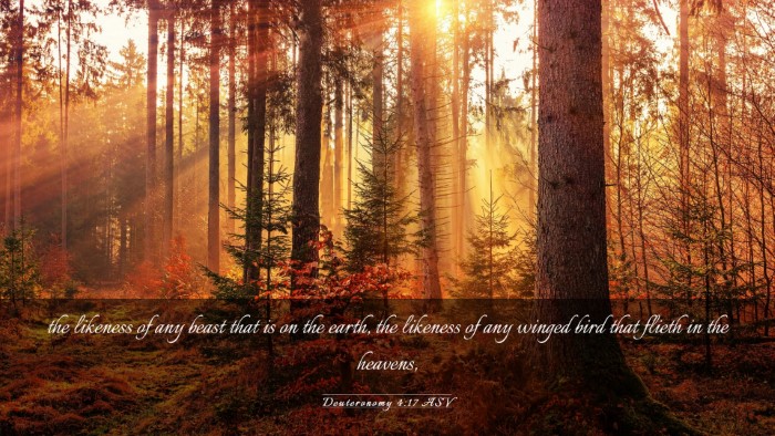 Picture 03 - Deuteronomy 4:17 ASV Desktop Wallpaper - the likeness of any beast that is on the earth, - Desktop Bible Verse Wallpaper