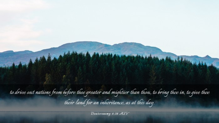Picture 03 - Deuteronomy 4:38 ASV Desktop Wallpaper - to drive out nations from before thee greater and - Desktop Bible Verse Wallpaper
