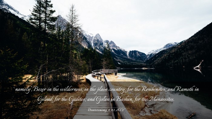 Picture 03 - Deuteronomy 4:43 ASV Desktop Wallpaper - `namely', Bezer in the wilderness, in the plain - Desktop Bible Verse Wallpaper