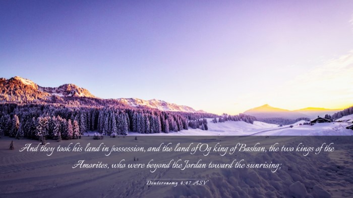 Picture 03 - Deuteronomy 4:47 ASV Desktop Wallpaper - And they took his land in possession, and the - Desktop Bible Verse Wallpaper