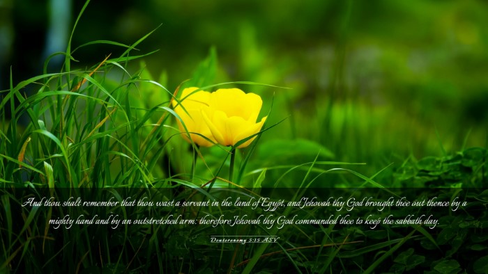 Picture 03 - Deuteronomy 5:15 ASV Desktop Wallpaper - And thou shalt remember that thou wast a servant - Desktop Bible Verse Wallpaper
