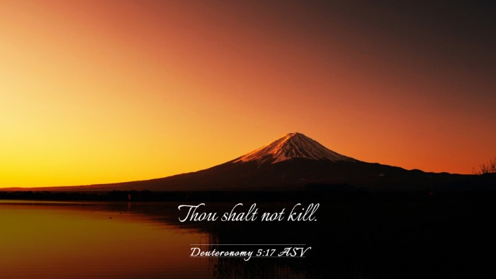Picture 03 - Deuteronomy 5:17 ASV Desktop Wallpaper - Thou shalt not - Desktop Bible Verse Wallpaper