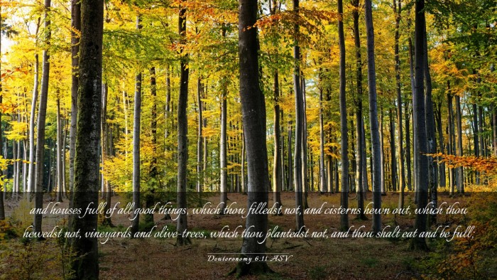 Picture 03 - Deuteronomy 6:11 ASV Desktop Wallpaper - and houses full of all good things, which thou - Desktop Bible Verse Wallpaper