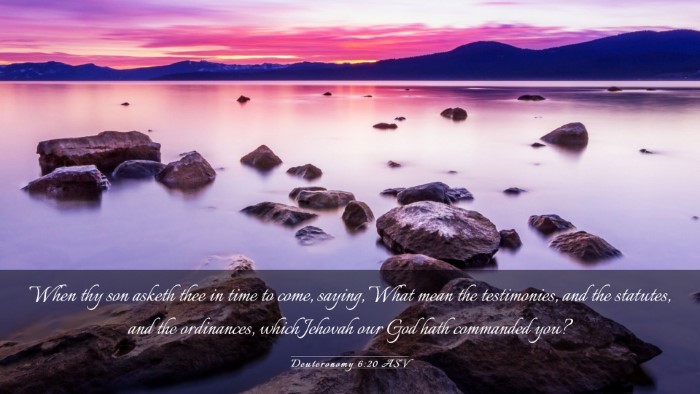 Picture 03 - Deuteronomy 6:20 ASV Desktop Wallpaper - When thy son asketh thee in time to come, saying, - Desktop Bible Verse Wallpaper