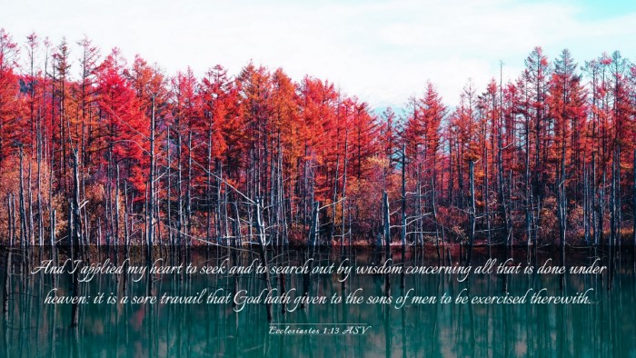 Picture 03 - Ecclesiastes 1:13 ASV Desktop Wallpaper - And I applied my heart to seek and to search out - Desktop Bible Verse Wallpaper