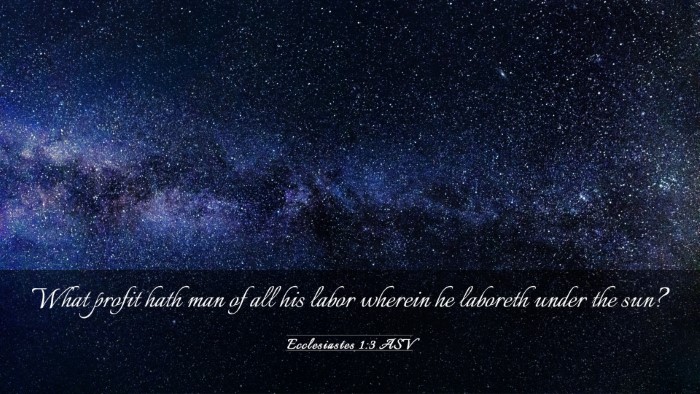 Picture 03 - Ecclesiastes 1:3 ASV Desktop Wallpaper - What profit hath man of all his labor wherein he - Desktop Bible Verse Wallpaper
